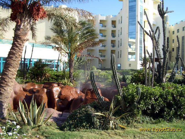 ����� ���� �������