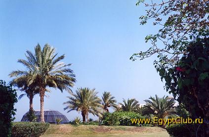 ����� ��������