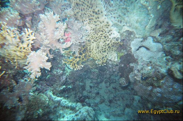 �� ��������