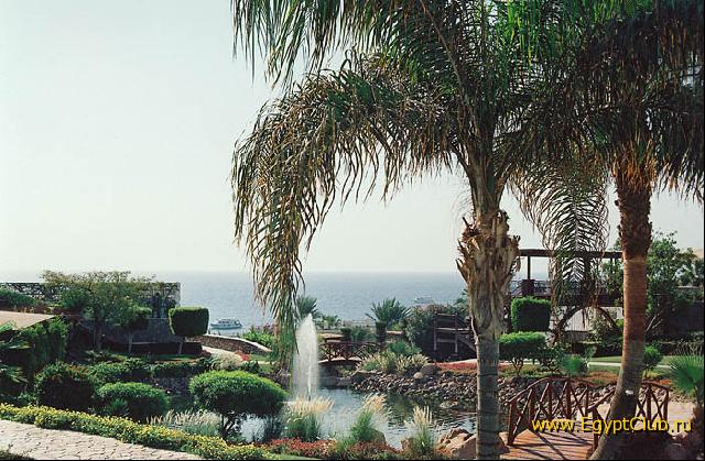 ��� �� ����