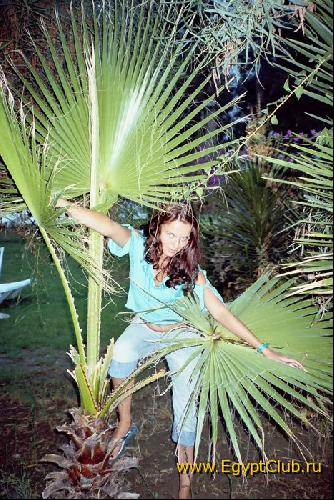 ���������� �����