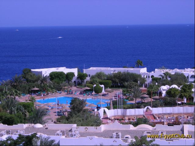 ��� �� 33 ������