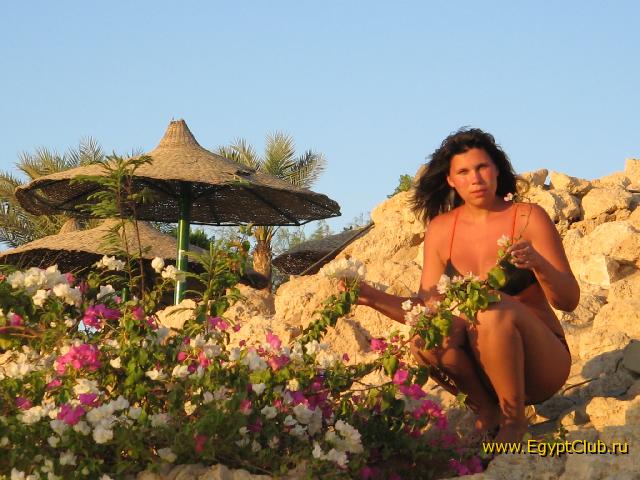 � ������ � ��������...