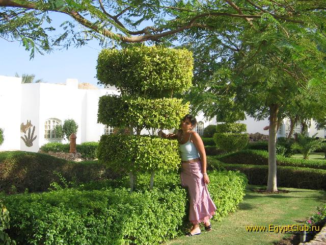 � ����� ���� ��� ���� ������