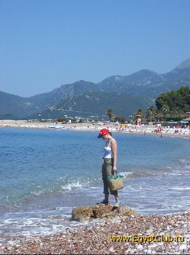 ����������