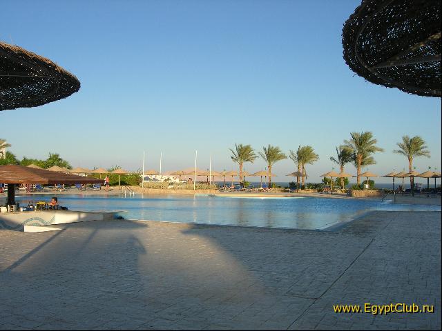 ������� � ����� 55