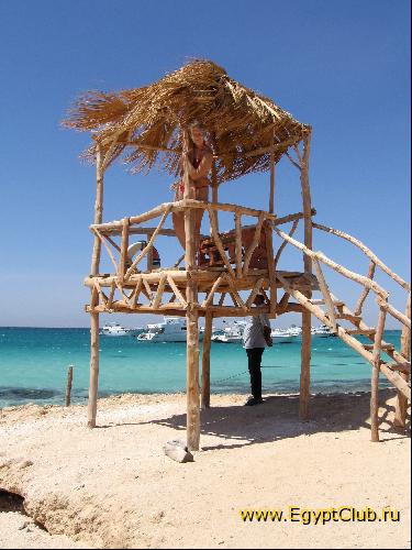 �. ������