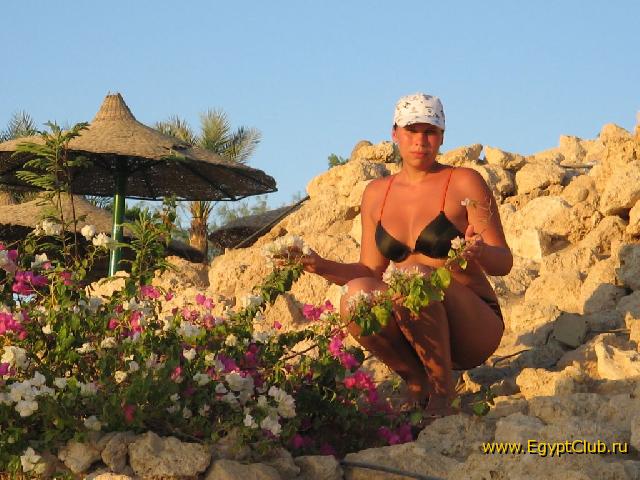 � ������ � �������� �� ������ ����..