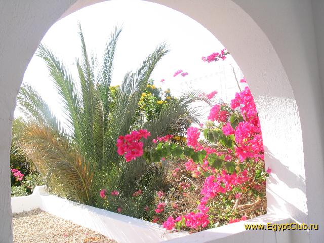 ������� �����, ������� ����