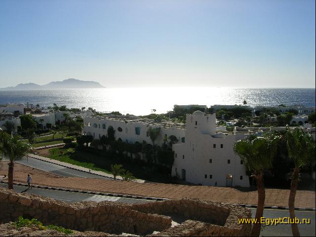 ������ ����