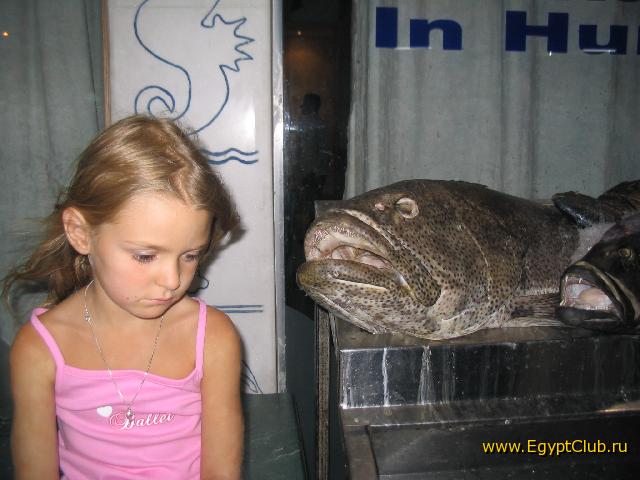 ��������� � ��������