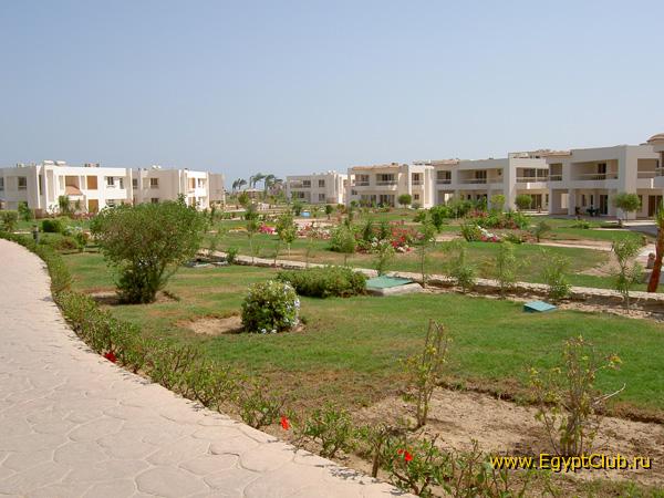 ������ ���� �� ����� �����