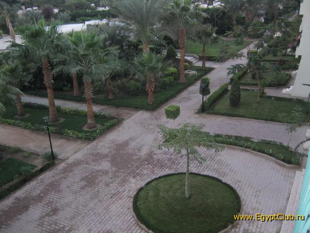 ��� �� ������