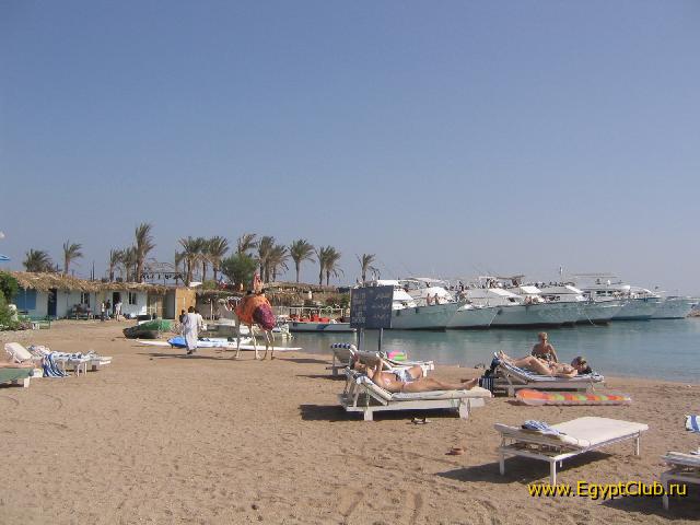 ��� �� ������