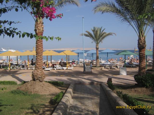 ��� �� ������