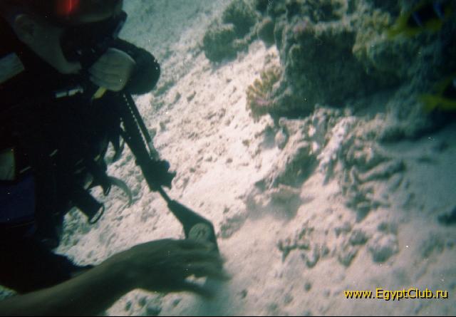 � ��� � ��� �����