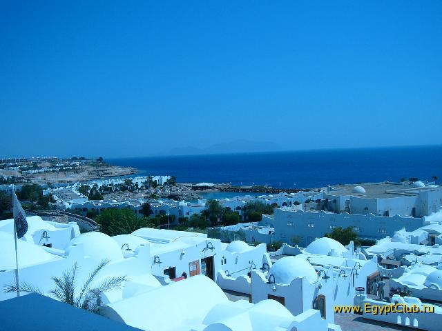 ��� ������!