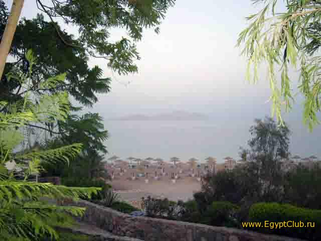 ��� �� 43 �������