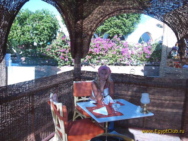 � �������