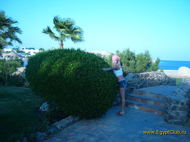 ��������������!