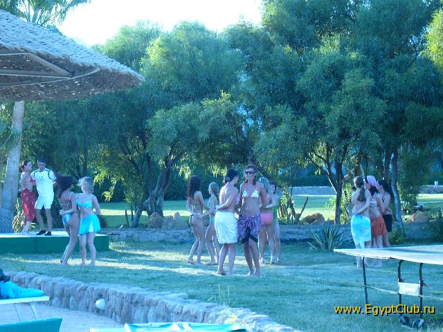 ���� ������