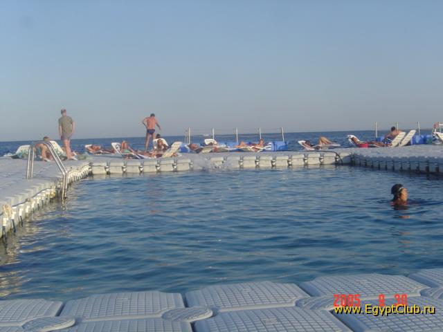 �������-������