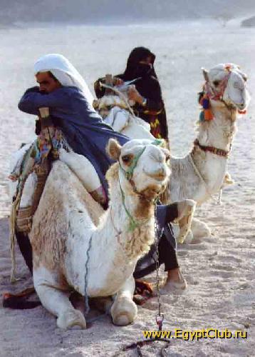 ���������� �����