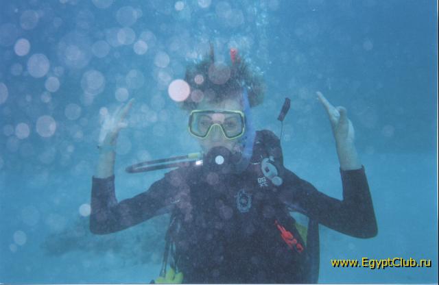 ����������� �����