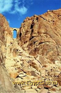 ������ ��������