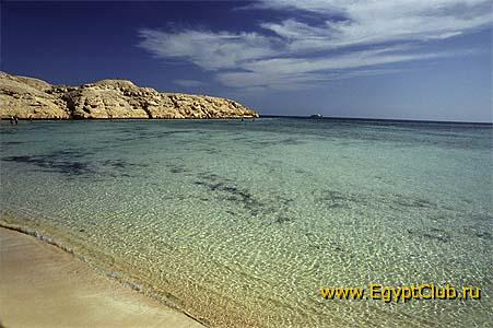 ������ ����