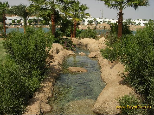 ����� � ������� �����