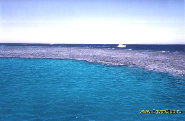 1-����������� ����������� � ����������