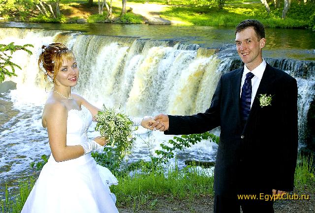 � ���� ����� �������