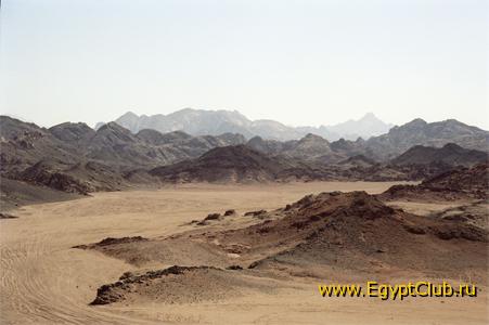 �������� �� ���������