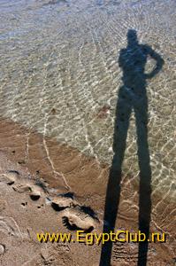 ������ ����