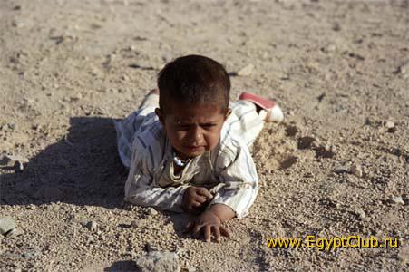 ������ ����