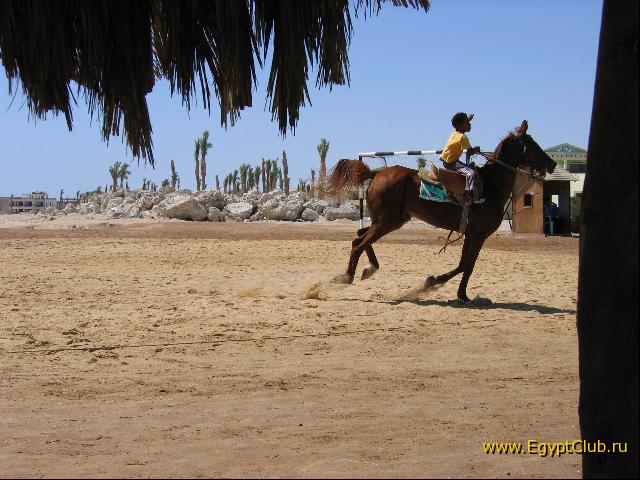 ��������� ��������