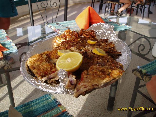 � ��������� Fish-Fish