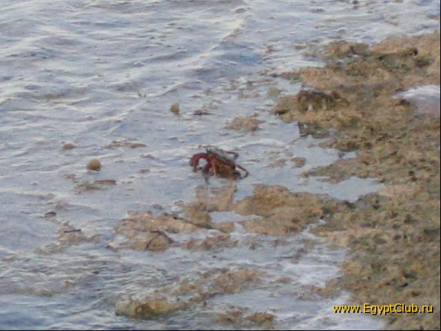 ���� �� �������