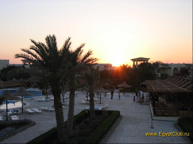 ������ �������