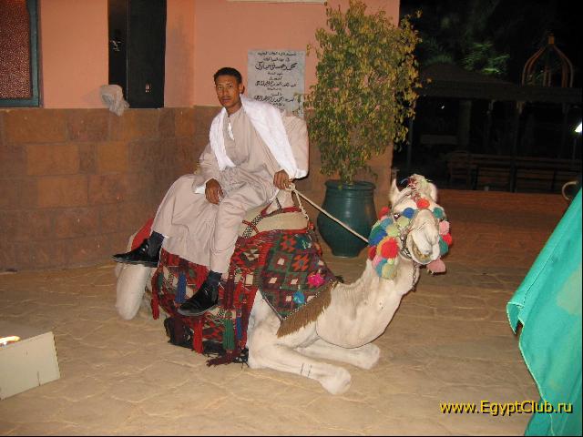 �������� � ���������