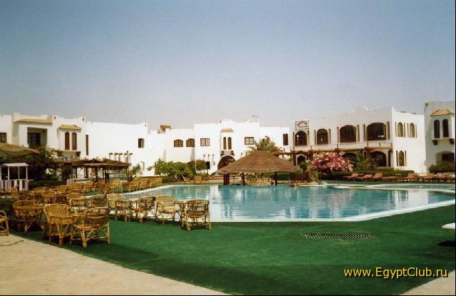 ��� ����