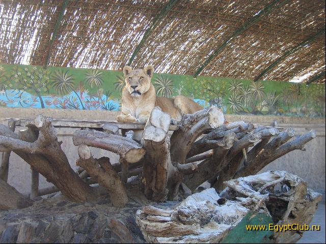 ��������������� ������