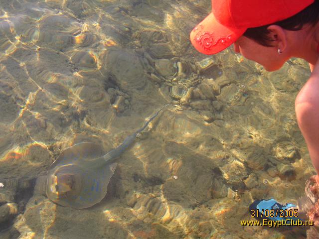 ����������