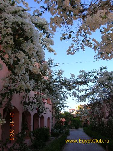 ������ � ���� ����� ����� ���