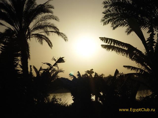 ����� �� ����