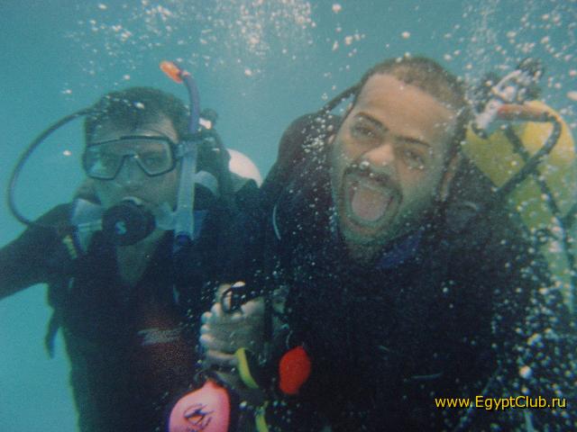 ��� ���������� �� ��������