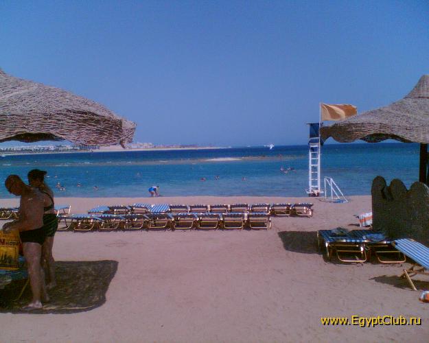 ���� �����