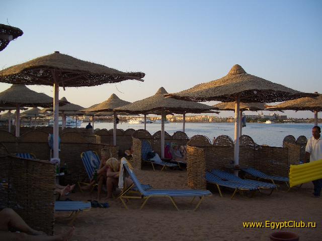 ���� �����