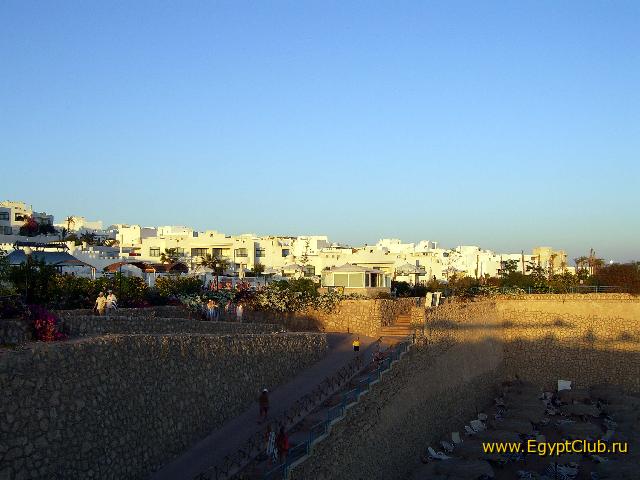 ��� �� ����-����